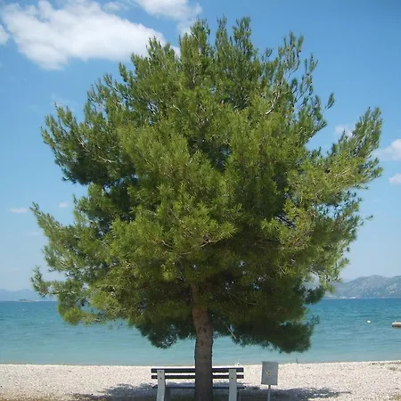Hébergement de vacances Kuca Za Odmor Gabriella Drače